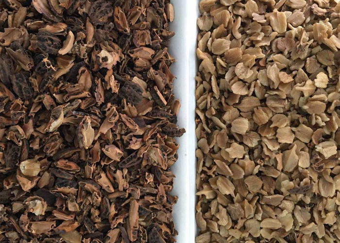 Ten Chutes Hot Selling CCD Color Sorter Machine For Walnut Sorting