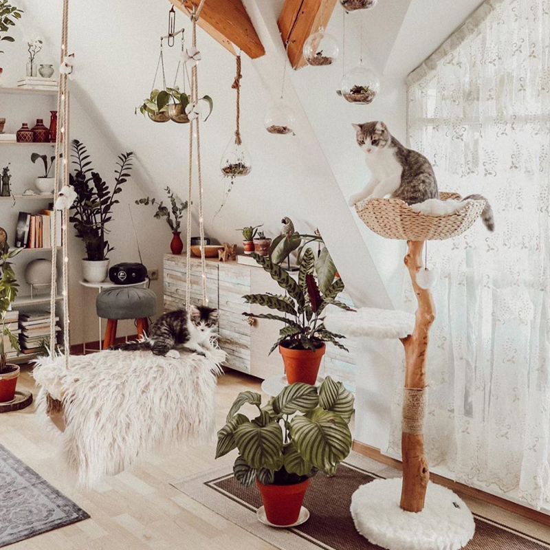 Cat Tree Unique Design Natural Wood Cat Tower Easy Climbing Small cat