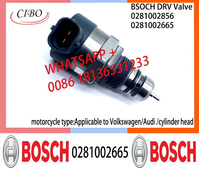 BOSCH DRV Valve 0281002665 Control Valve 0281002665 For Applicable to Volkswagen/Audi | cylinder head|