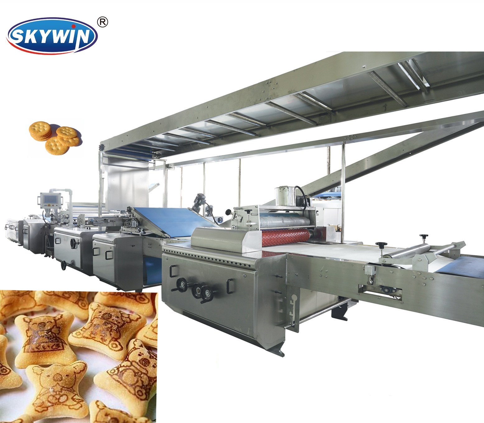 Stainless Steel 304 Bear Biscuit Making Line / Hard Biscuit Machine