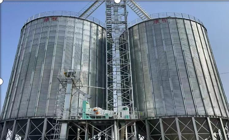 Lightweight Integrated Steel Structure Feed factory and Workshop Building