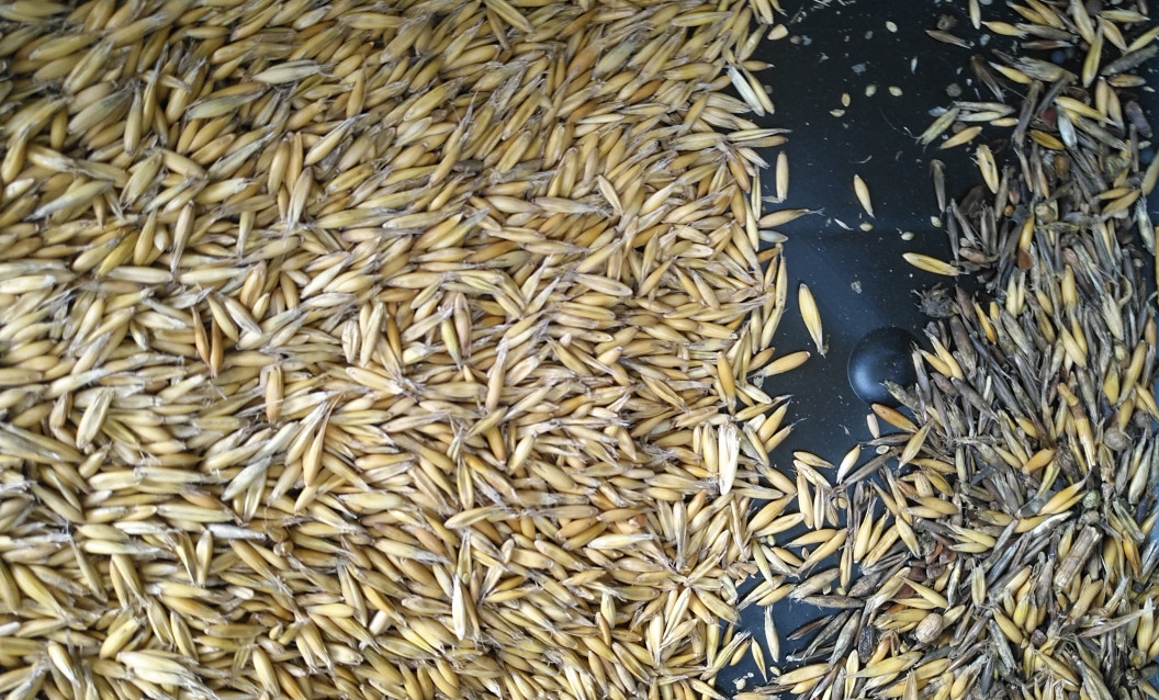 2022 Latest High Quality Grain Color Sorter wiht 8 Chutes 512 Channels Hot in Brazil