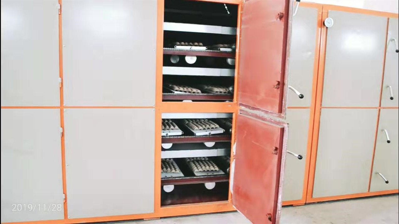 Waste Paper Pulp 200KW Egg Tray Making Machine