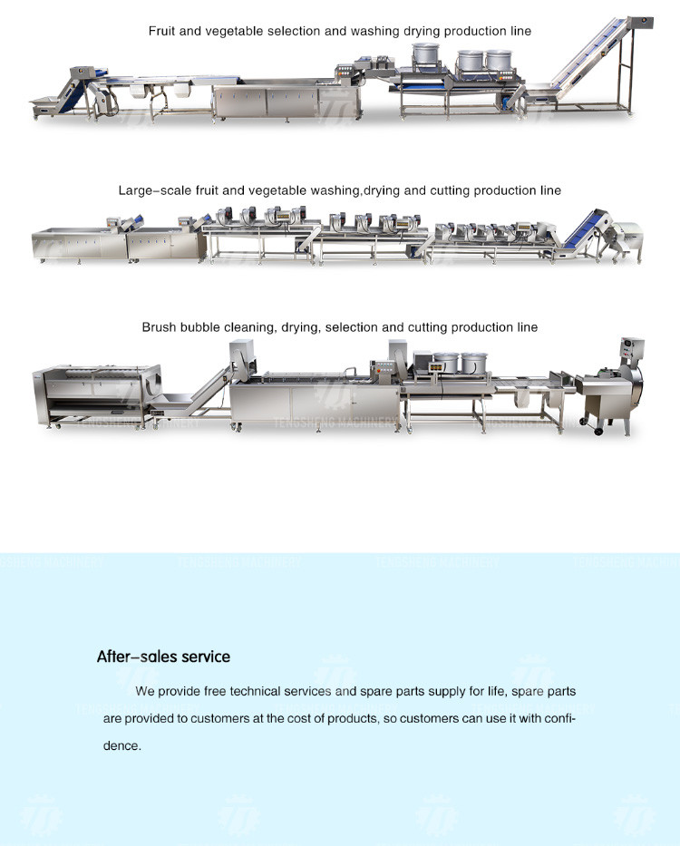 1000KG/H Double layer spray leaf vegetable cleaning machine large bubble eddy current vegetable cleaning machine