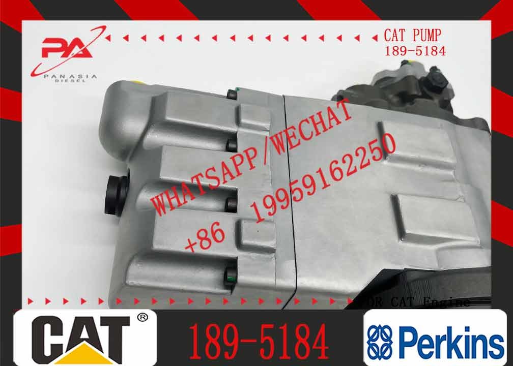 Diesel Fuel Injection Pump 189-5184 254-4357 for CAT C7 C9 Excavator E330D E336D E340DL