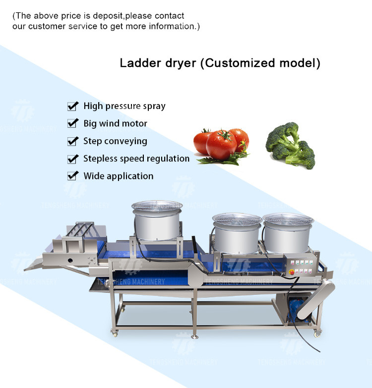 Stainless Steel Air Drying Machine Bag Drain Air Drying Automatic Vegetables And Fruits Air Drying Machine