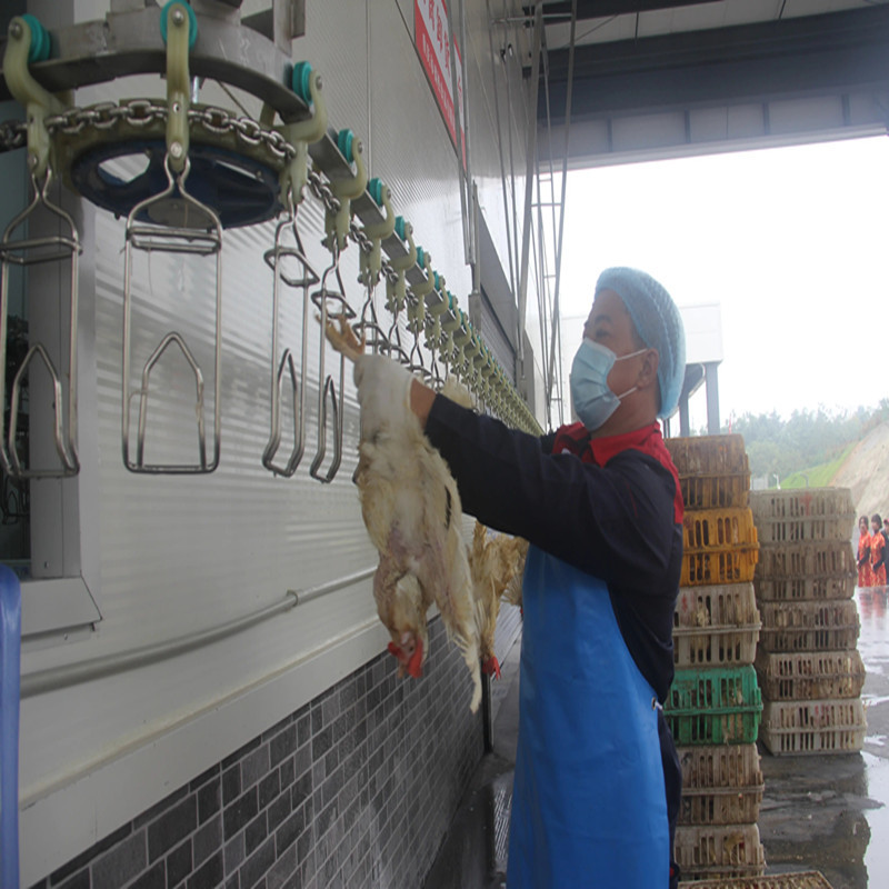 3000 Birds / H Poultry Slaughtering Equipment Chicken Slaughter Line 10000BPH