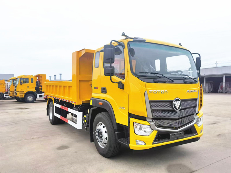 Foton 10tons Light Cargo Truck Small Tipper Truck Left And Right Hand Drive