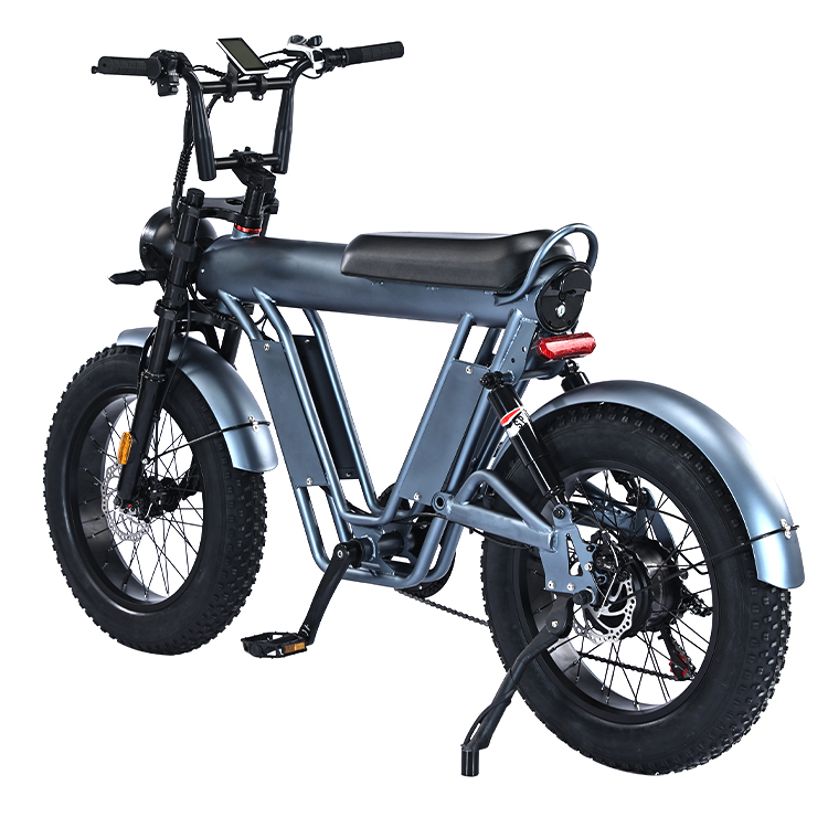 20 Inches Fat Tire Electric Bicycle With 48V Aluminum Alloy Frame And Dual Suspension