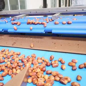 Comprehensive Defect Detection 1.4 Tons Per Hour 6-Lane Palm Dates Sorting