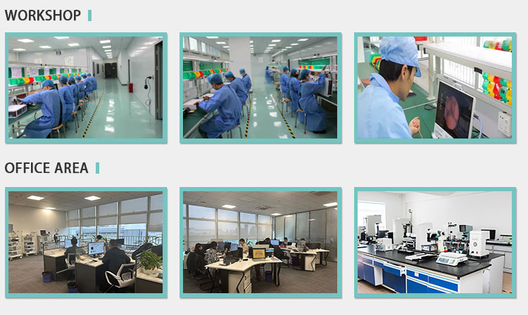 Endoscopy Camera Medical 4 Picture Devide Video Camera For ENT