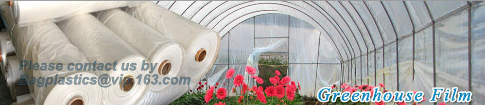 Transparent / Black / Silver / White color Plastic PE LDPE Agriculture Mulching Film,panda strawberry mulch film/black w