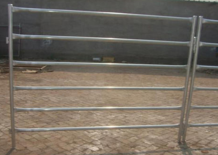Eco Friendly White Color Sheep Fence Panels 1000X2100mm By Square Tube
