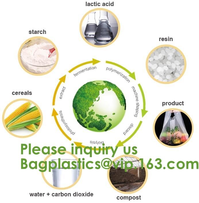 100% Certified Biodegradable Compost Bags, Food Waste Bags,Food grade compostable coffee bags,Biodegradable Stand Up Cof