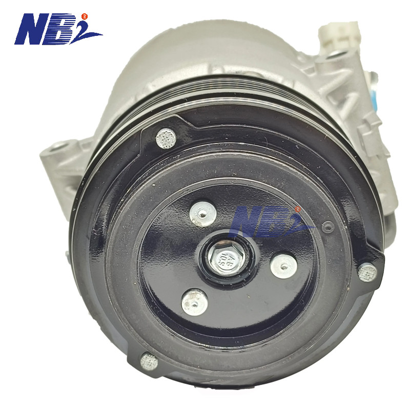 RG-90021 24464152 RGFROST Auto AC Compressor For Opel Astra 2.0 DT Car Model With 1 Year Warranty