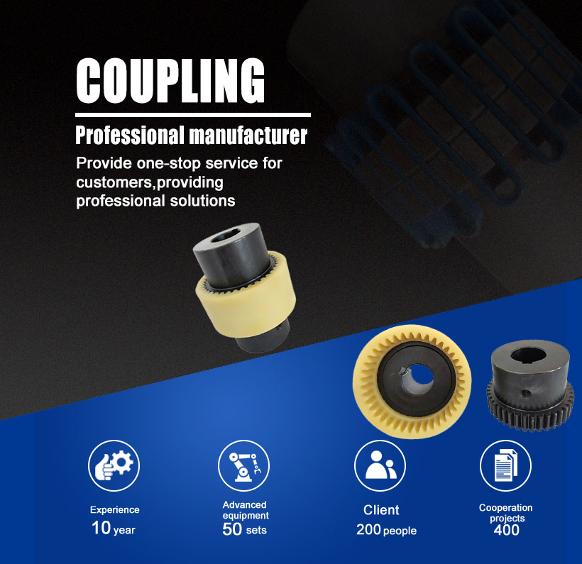 5000 RPM Motor Drive Flexible Gear Coupling With Nylon Sleeve
