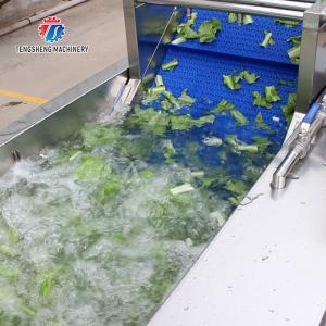 165MM Belt Industrial Vegetable Processing Machine Fruit Selection Washing