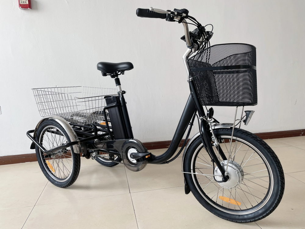 36V 250W 350W Adult Folding Electric Trike 20 Inch Electric 3 Wheel Cargo Bike