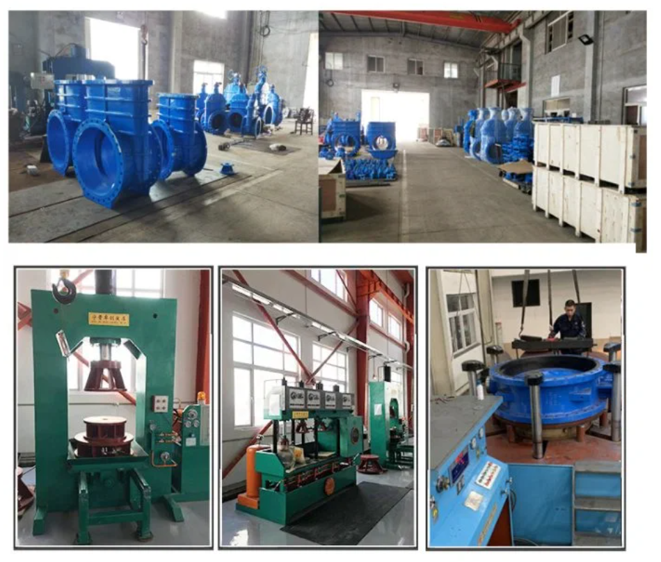 Avaiable OEM Y Strainer for Customized Filtration in Industrial Environments