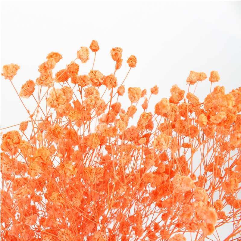 Colorful Dried Baby'S Breath Bouquet , Preserved Baby'S Breath For Gift