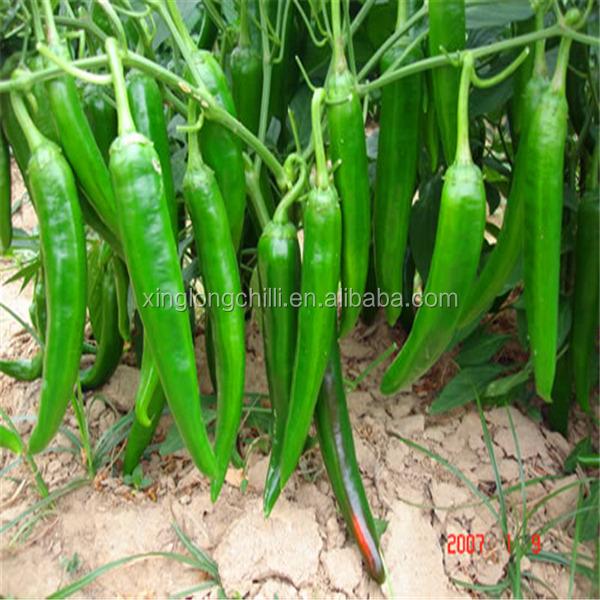 Stemless Erjingtiao Dried Spicy Chili 13-16cm 8000shu Nutrition Facts Protein-9