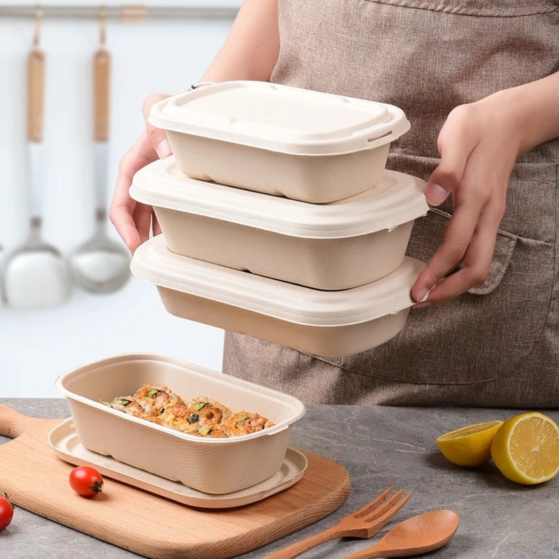 850ml Compostable Sugarcane Bagasse Takeaway Eco Friendly Disposable Lunch Boxes
