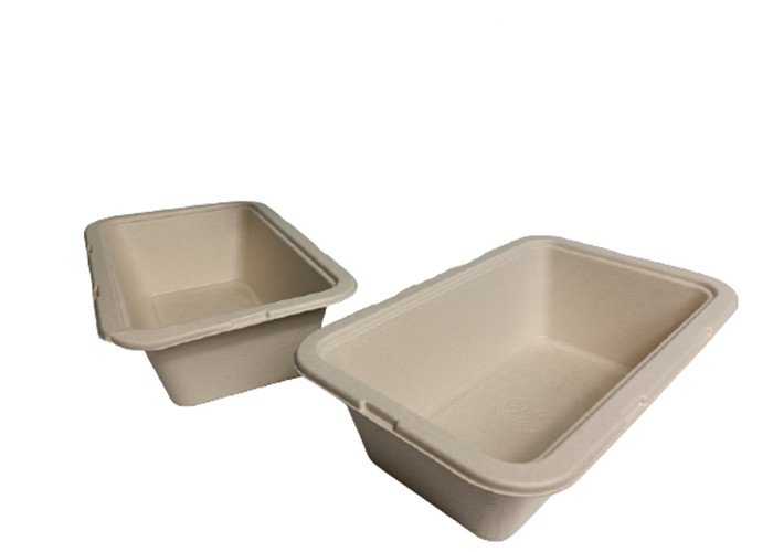 10×6 Inch 1050ml 35g Biodegradable Salad Boxes