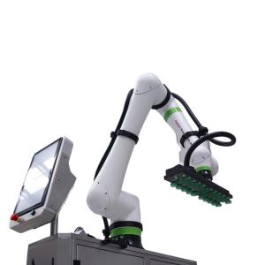 Payload 25kg Fanuc Crx-25ia Cobot Palletizer Automated Palletising Depalletising