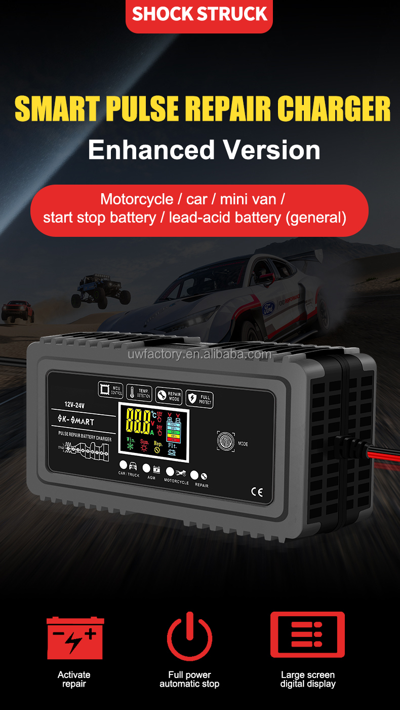 Electric Vehicle Lead Acid Battery Charger 12V 10A 24V 5A for Scooters and E-bikes Connector Current Protection