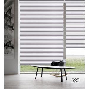 China High Quality Home Decoration chicology zebra blinds motorized for window on sale