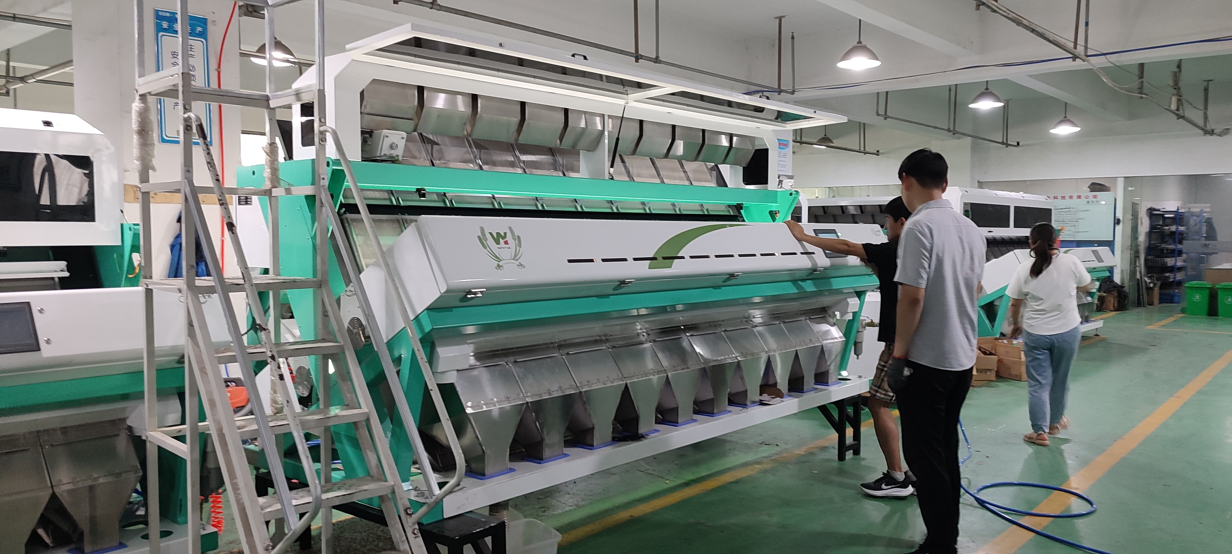 3t/H Sacha Inchi Sorting Machine CE Certificated Intelligent