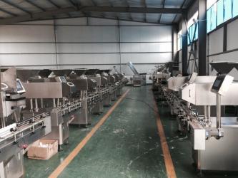 Guangdong Rich Packing Machinery Co., Ltd.