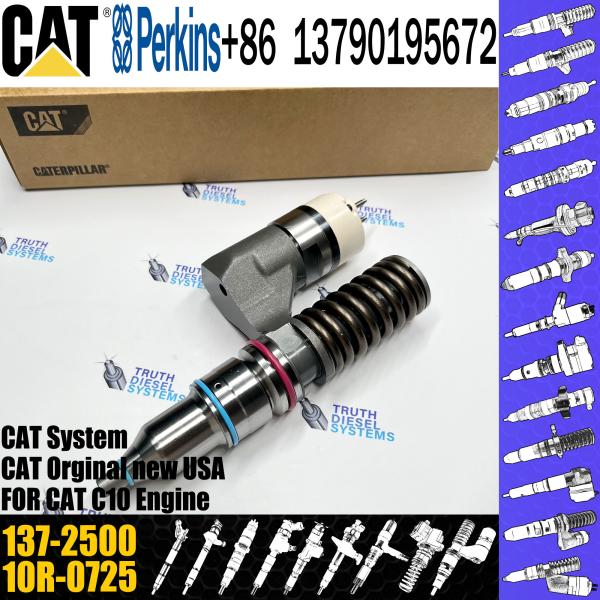Fuel Diesel Injector 137-2500 10RO963 229-5918 212-3463 212-3464 for CAT C10