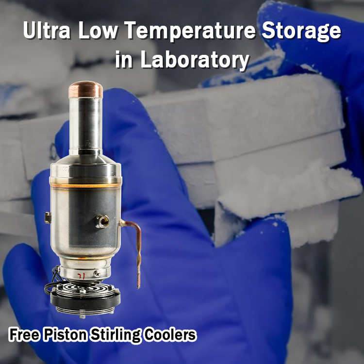 Stirling Cooling -130C Vaccine Cell Storage Transport for Ultra Low Temperature Needs