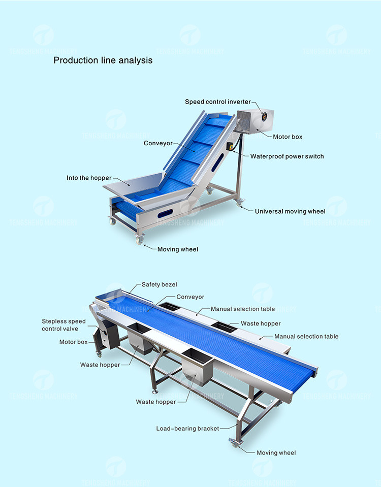 1500KG/H Fruit And Vegetable Processing Line cleaning Sorting Machine