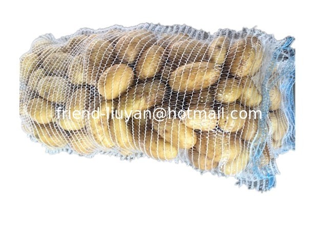 Breathable PE Mesh Woven Bag Garlic Packing Rachel Bags