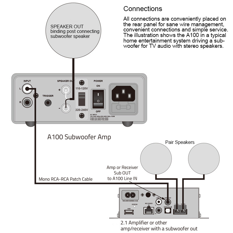 Mini Mono Subwoofer Amplifier Class D Solid Integrated Power Amplifier 100W For Home Theater