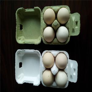 Customizable Plastic Injection Food Container Mold Egg Carton Use