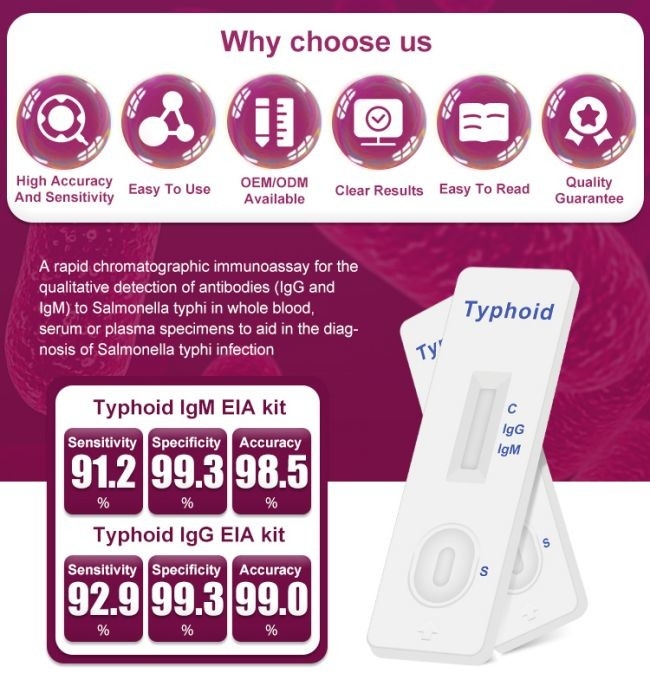 Typhoid IgM / IgG Rapid Antibody Test Cassette One Step 40 Tests/Kit