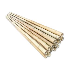 China Gardending 4M 12 Foot Decorative Long Thick Bamboo Pole on sale