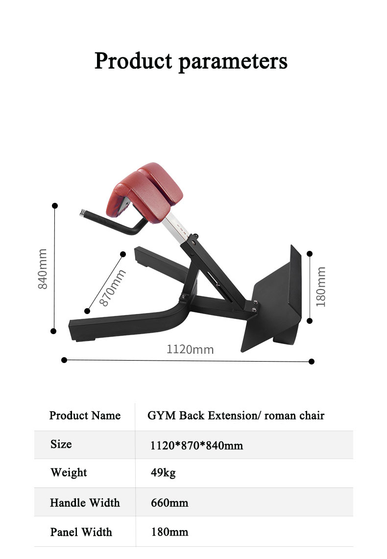High Quality 45 Degree Back Extension Roman Chair Bench Machine Fitness Equipment Back Extension Roman Chair