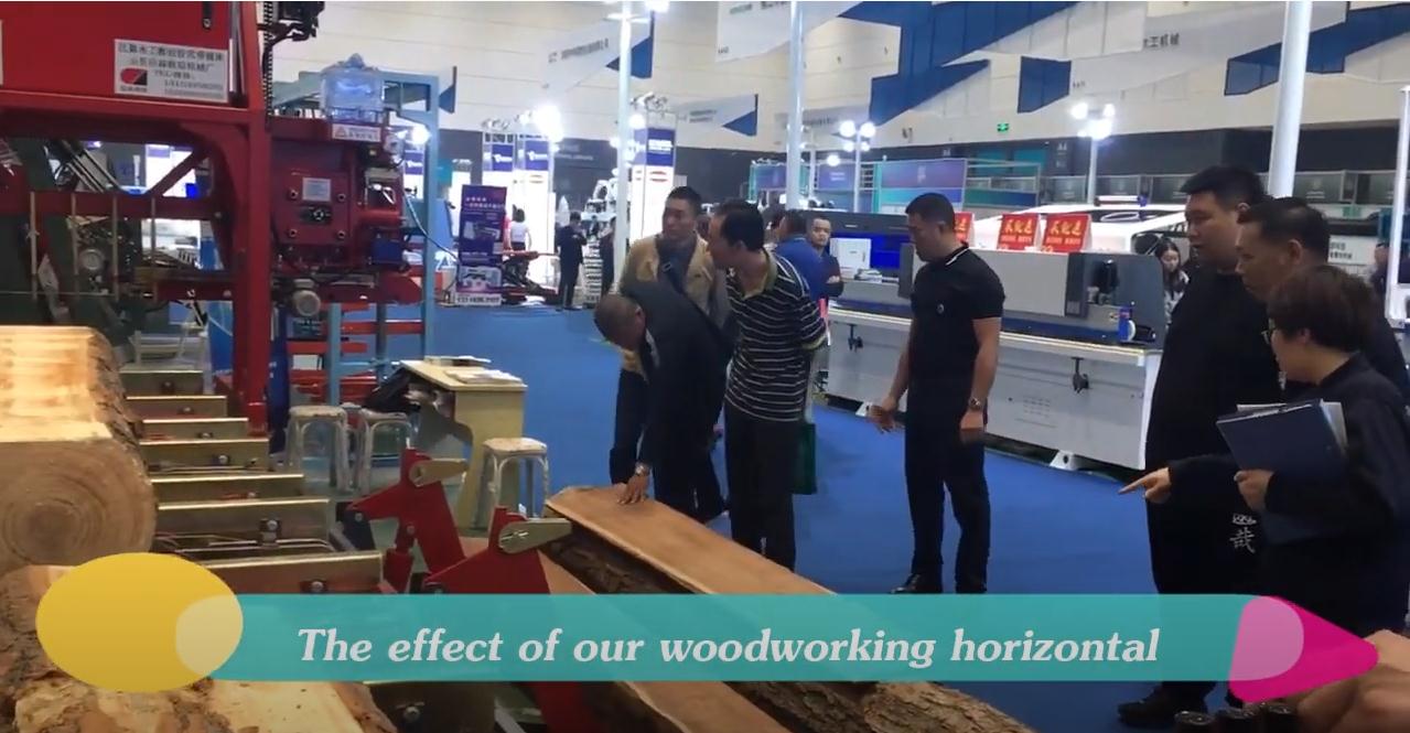 Wood Splitting Machine For 50 KG Logs Portable Hydraulic Gasoline Super Splitter