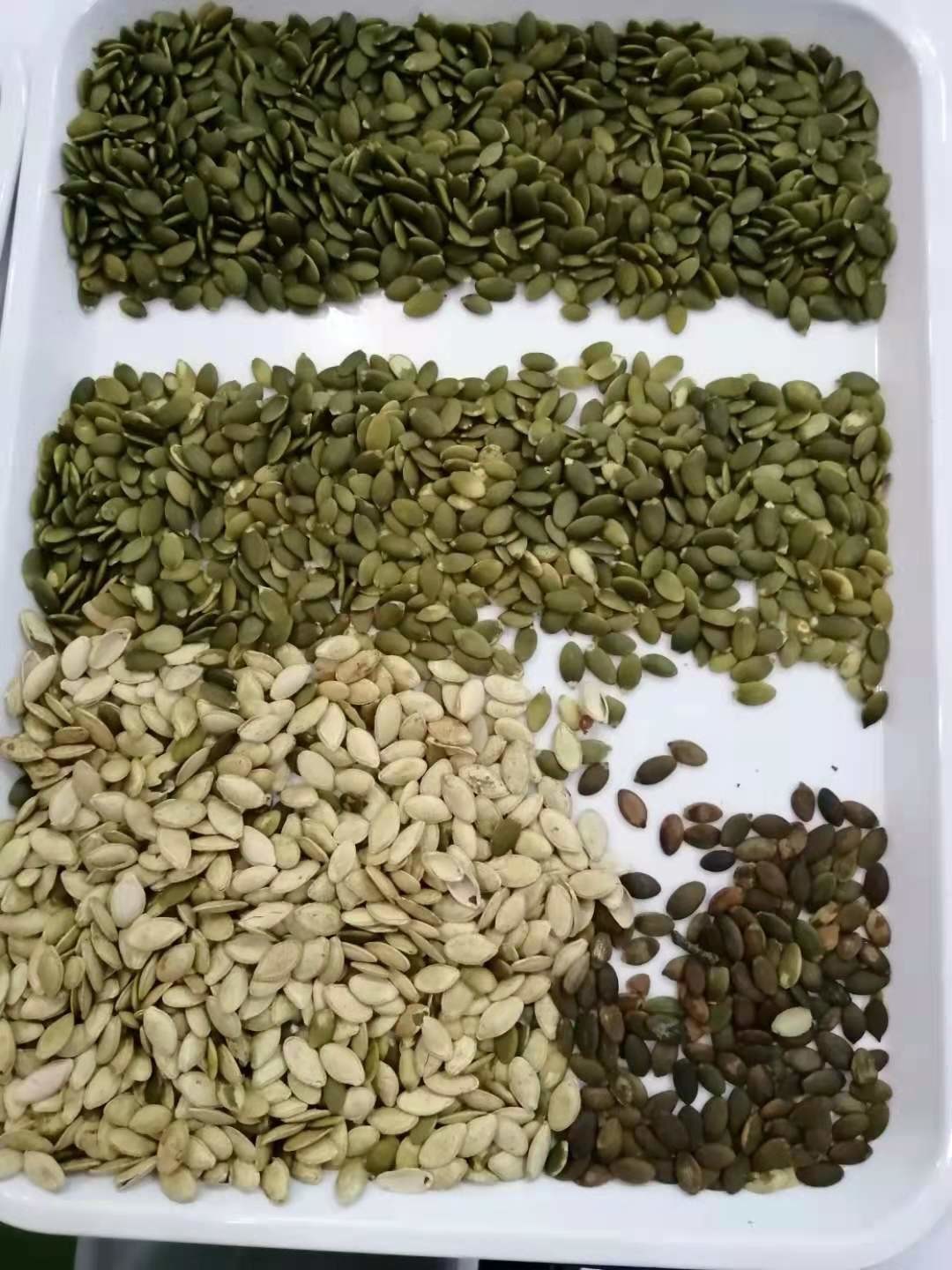 High frequency 6 Chutes Pumpkin Coriander Chili Seeds Color Sorting Machines CE certifited