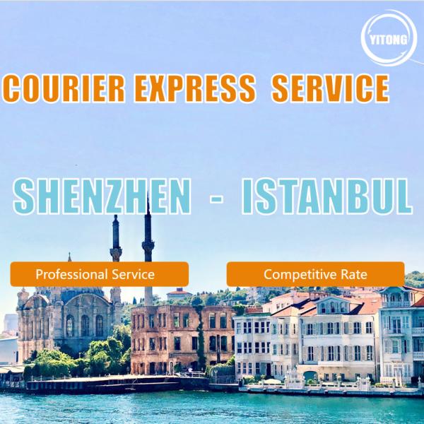 Air Services/Sea Freight Services/Logistics/Freight Forwarding From China to The