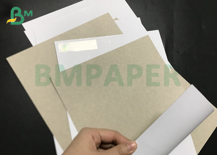 Jumbo Rolls 300gsm 400gsm coldpack gray back coated duplex paperboard