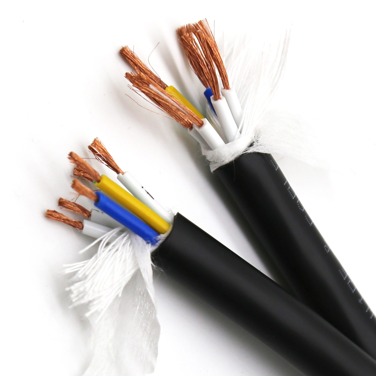cat7 2.png