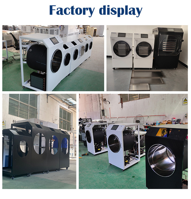 Double Compressor Vegetable Freeze Dryer Fruit Flower Vacuum Freeze Drying Equipment
