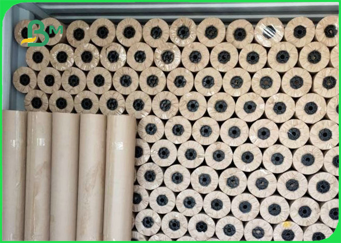 Plotter paper roll