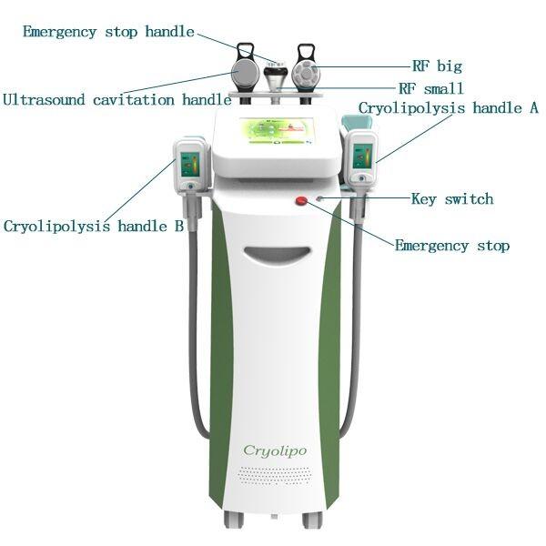 Hot promotion!!!!!New Designed 5 Handles Fat Freeze Cryolipolysis Vacuum