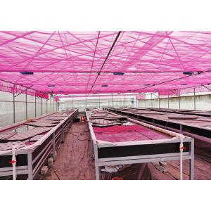  Durable Nutrient Recycling Deep Water Grow System Recirculating Dwc System Manufactures